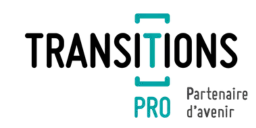 Transitions Pro